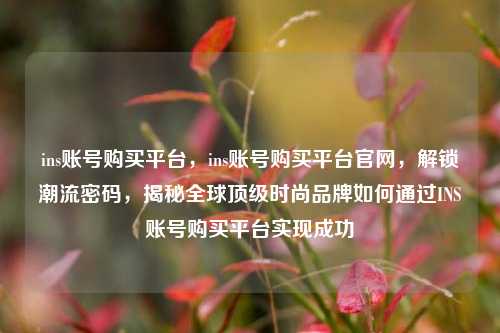 ins账号购买平台，ins账号购买平台官网，解锁潮流密码，揭秘全球顶级时尚品牌如何通过INS账号购买平台实现成功