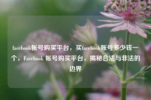 facebook帐号购买平台，买facebook账号多少钱一个，Facebook 帐号购买平台	，揭秘合法与非法的边界  第1张
