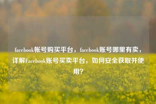 facebook帐号购买平台，facebook账号哪里有卖，详解Facebook账号买卖平台，如何安全获取并使用？
