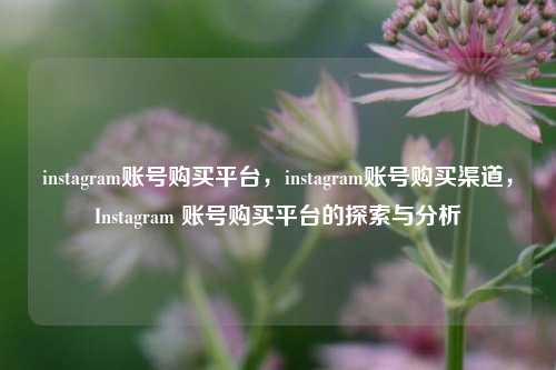instagram账号购买平台，instagram账号购买渠道，Instagram 账号购买平台的探索与分析