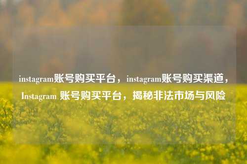 instagram账号购买平台，instagram账号购买渠道，Instagram 账号购买平台，揭秘非法市场与风险