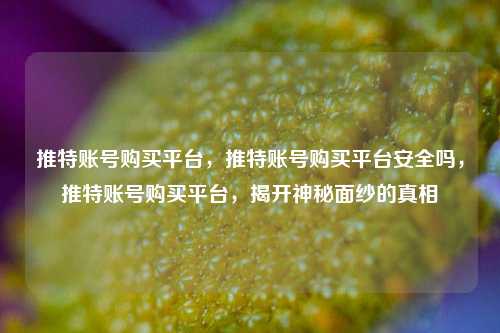 推特账号购买平台，推特账号购买平台安全吗，推特账号购买平台，揭开神秘面纱的真相
