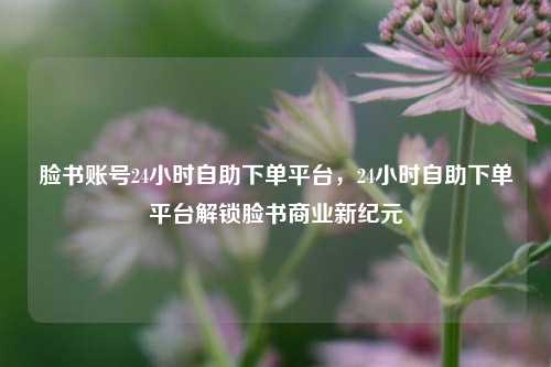 脸书账号24小时自助下单平台，24小时自助下单平台解锁脸书商业新纪元