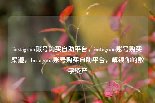 instagram账号购买自助平台，instagram账号购买渠道，Instagram账号购买自助平台，解锁你的数字资产