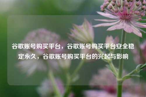 谷歌账号购买平台，谷歌账号购买平台安全稳定永久，谷歌账号购买平台的兴起与影响