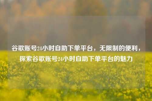 谷歌账号24小时自助下单平台，无限制的便利	，探索谷歌账号24小时自助下单平台的魅力  第1张