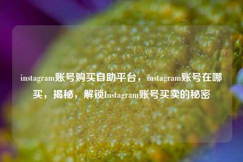 instagram账号购买自助平台，instagram账号在哪买，揭秘，解锁Instagram账号买卖的秘密