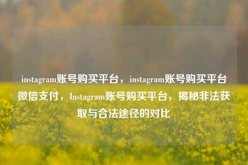 instagram账号购买平台，instagram账号购买平台微信支付	，Instagram账号购买平台，揭秘非法获取与合法途径的对比  第1张