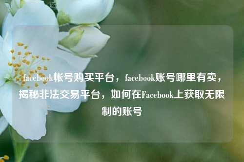 facebook帐号购买平台，facebook账号哪里有卖，揭秘非法交易平台，如何在Facebook上获取无限制的账号