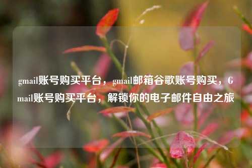 gmail账号购买平台，gmail邮箱谷歌账号购买，Gmail账号购买平台，解锁你的电子邮件自由之旅