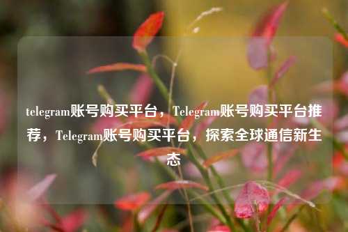 telegram账号购买平台，Telegram账号购买平台推荐，Telegram账号购买平台，探索全球通信新生态