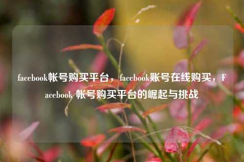 facebook帐号购买平台，facebook账号在线购买，Facebook 帐号购买平台的崛起与挑战