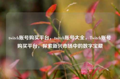 twitch账号购买平台，twitch账号大全，Twitch账号购买平台，探索新兴市场中的数字宝藏