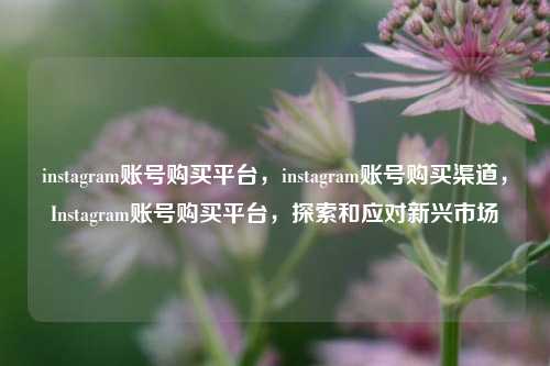 instagram账号购买平台，instagram账号购买渠道，Instagram账号购买平台，探索和应对新兴市场