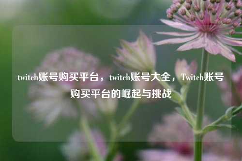 twitch账号购买平台，twitch账号大全，Twitch账号购买平台的崛起与挑战