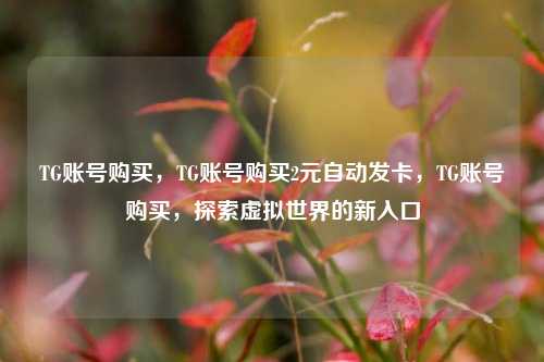 TG账号购买，TG账号购买2元自动发卡，TG账号购买，探索虚拟世界的新入口