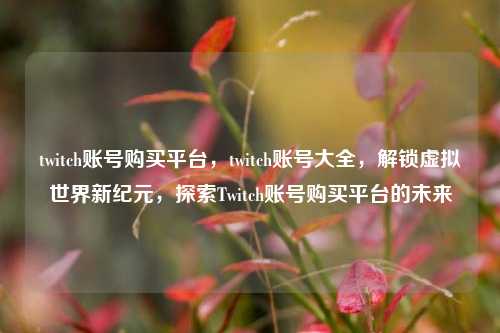twitch账号购买平台，twitch账号大全，解锁虚拟世界新纪元，探索Twitch账号购买平台的未来