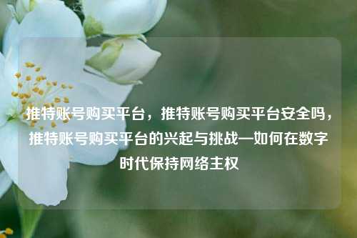 推特账号购买平台，推特账号购买平台安全吗，推特账号购买平台的兴起与挑战—如何在数字时代保持网络主权