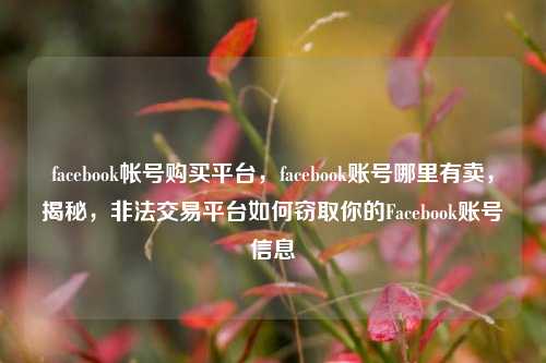 facebook帐号购买平台，facebook账号哪里有卖，揭秘，非法交易平台如何窃取你的Facebook账号信息