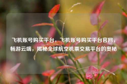 飞机账号购买平台，飞机账号购买平台官网，畅游云端，揭秘全球航空机票交易平台的奥秘