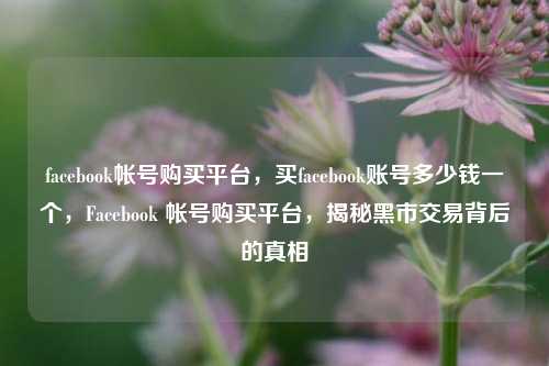 facebook帐号购买平台，买facebook账号多少钱一个，Facebook 帐号购买平台，揭秘黑市交易背后的真相
