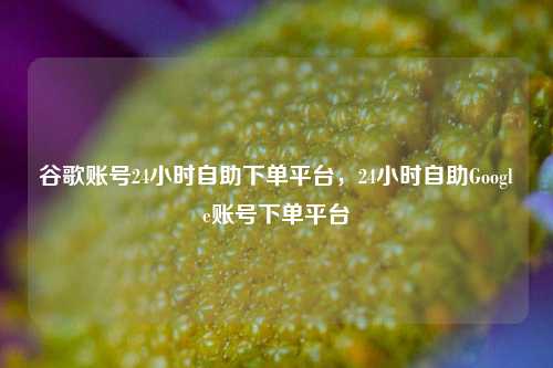 谷歌账号24小时自助下单平台，24小时自助Google账号下单平台