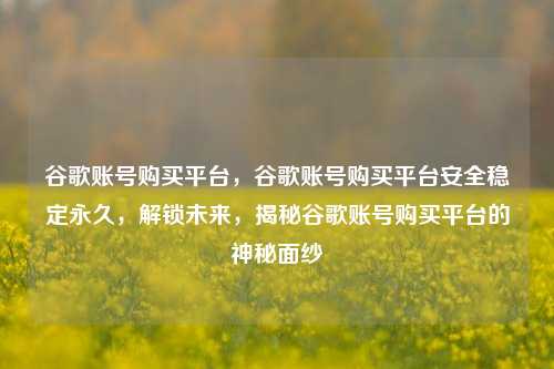 谷歌账号购买平台，谷歌账号购买平台安全稳定永久，解锁未来，揭秘谷歌账号购买平台的神秘面纱