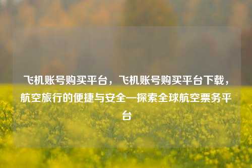 飞机账号购买平台，飞机账号购买平台下载，航空旅行的便捷与安全—探索全球航空票务平台