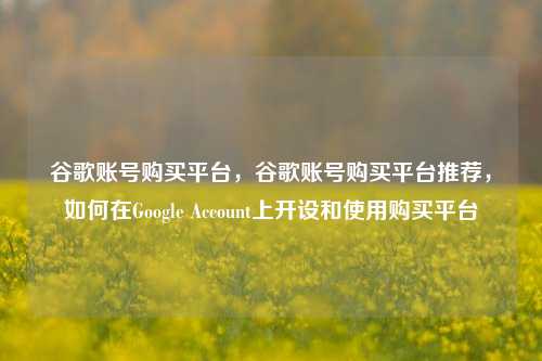 谷歌账号购买平台，谷歌账号购买平台推荐，如何在Google Account上开设和使用购买平台