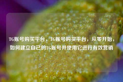 TG账号购买平台，TG账号购买平台，从零开始，如何建立自己的TG账号并使用它进行有效营销