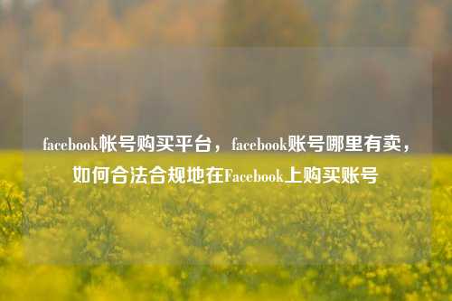 facebook帐号购买平台，facebook账号哪里有卖，如何合法合规地在Facebook上购买账号