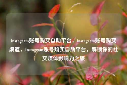 instagram账号购买自助平台，instagram账号购买渠道，Instagram账号购买自助平台，解锁你的社交媒体影响力之旅