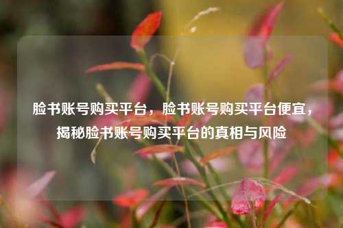 脸书账号购买平台	，脸书账号购买平台便宜，揭秘脸书账号购买平台的真相与风险  第1张