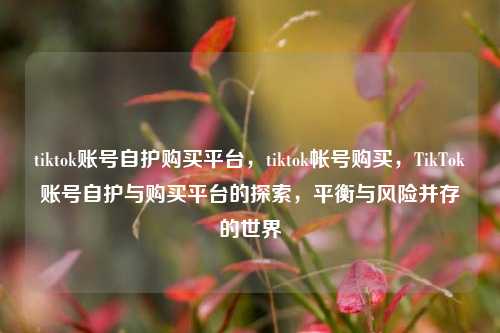 tiktok账号自护购买平台，tiktok帐号购买，TikTok账号自护与购买平台的探索，平衡与风险并存的世界