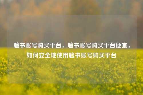 脸书账号购买平台，脸书账号购买平台便宜，如何安全地使用脸书账号购买平台