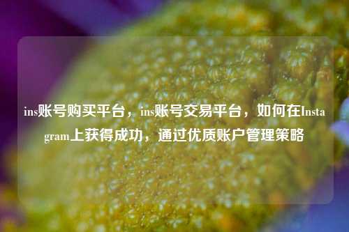 ins账号购买平台，ins账号交易平台，如何在Instagram上获得成功	，通过优质账户管理策略  第1张