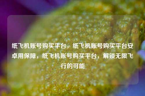 纸飞机账号购买平台，纸飞机账号购买平台安卓用保障，纸飞机账号购买平台	，解锁无限飞行的可能  第1张
