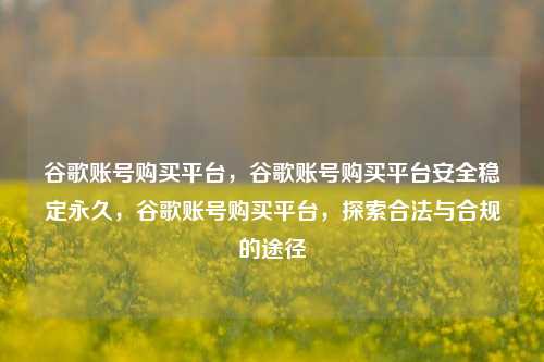 谷歌账号购买平台，谷歌账号购买平台安全稳定永久，谷歌账号购买平台，探索合法与合规的途径