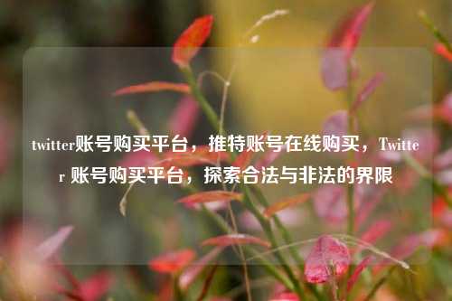 twitter账号购买平台，推特账号在线购买，Twitter 账号购买平台，探索合法与非法的界限