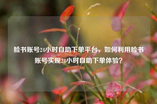 脸书账号24小时自助下单平台，如何利用脸书账号实现24小时自助下单体验？
