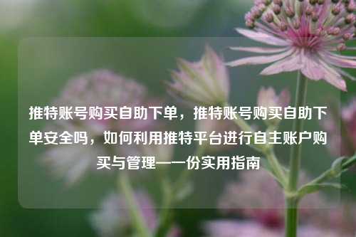 推特账号购买自助下单，推特账号购买自助下单安全吗，如何利用推特平台进行自主账户购买与管理—一份实用指南