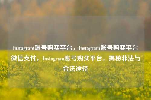 instagram账号购买平台，instagram账号购买平台微信支付，Instagram账号购买平台，揭秘非法与合法途径