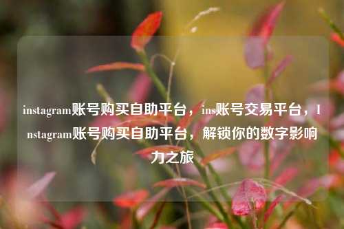 instagram账号购买自助平台，ins账号交易平台，Instagram账号购买自助平台，解锁你的数字影响力之旅