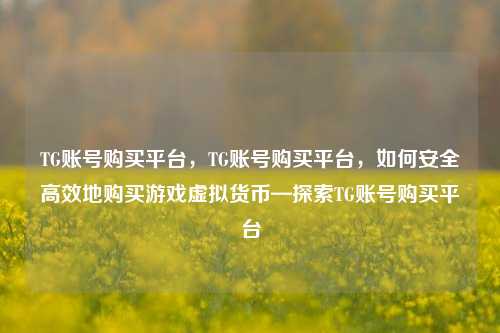 TG账号购买平台，TG账号购买平台，如何安全高效地购买游戏虚拟货币—探索TG账号购买平台  第1张