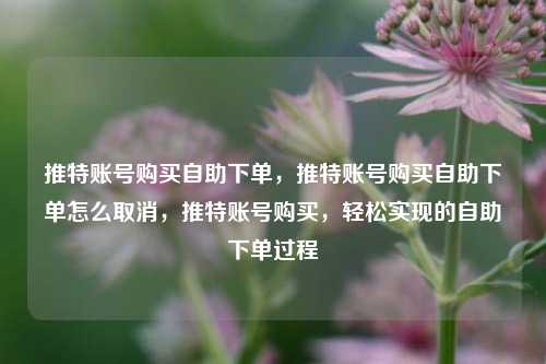 推特账号购买自助下单，推特账号购买自助下单怎么取消，推特账号购买，轻松实现的自助下单过程
