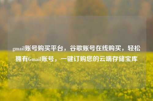 gmail账号购买平台	，谷歌账号在线购买，轻松拥有Gmail账号，一键订购您的云端存储宝库  第1张