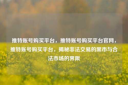 推特账号购买平台，推特账号购买平台官网，推特账号购买平台，揭秘非法交易的黑市与合法市场的界限