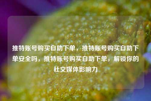 推特账号购买自助下单，推特账号购买自助下单安全吗，推特账号购买自助下单，解锁你的社交媒体影响力