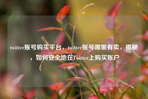 twitter账号购买平台，twitter账号哪里有卖，揭秘，如何安全地在Twitter上购买账户