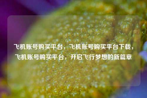 飞机账号购买平台，飞机账号购买平台下载，飞机账号购买平台，开启飞行梦想的新篇章
